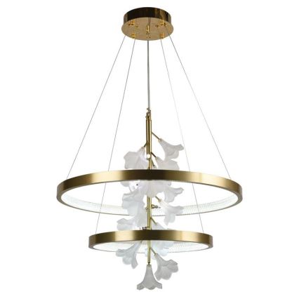 LED himmennettävä kattokruunu johdolla LED/70W/230V 3000-6500K + kaukosäädin