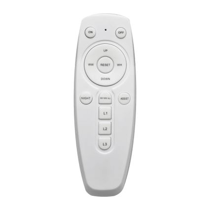 LED himmennettävä kattovalaisin FLORANCE 2xLED/30W/230V + kaukosäädin