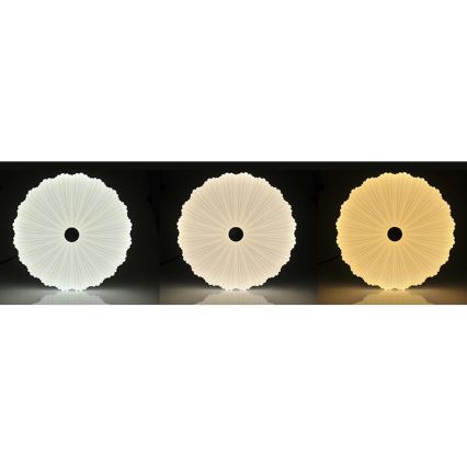 LED himmennettävä kattovalaisin FLOWER LED/36W/230V + kaukosäädin