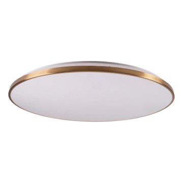 LED-himmennettävä kattovalaisin KERN LED/80W/230V 3000/4000/6000K halkaisija 80 cm kultainen + kaukosäädin