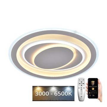 LED himmennettävä kattovalaisin LED/100W/230V 3000-6500K + kaukosäädin