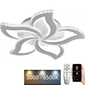 LED himmennettävä kattovalaisin LED/100W/230V 3000-6500K + kaukosäädin