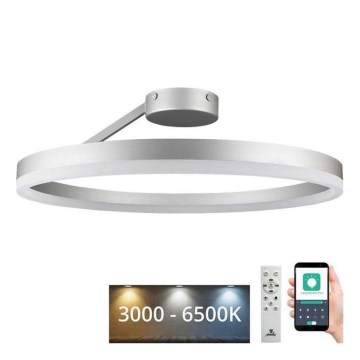 LED himmennettävä kattovalaisin LED/40W/230V 3000-6500K mattakromi + kaukosäädin