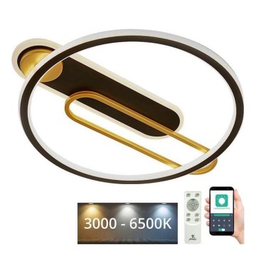 LED himmennettävä kattovalaisin LED/60W/230V 3000-6500K musta + kaukosäädin