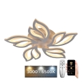 LED himmennettävä kattovalaisin LED/65W/230V 3000-6500K + kaukosäädin