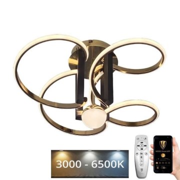 LED himmennettävä kattovalaisin LED/80W/230V 3000-6500K + kaukosäädin