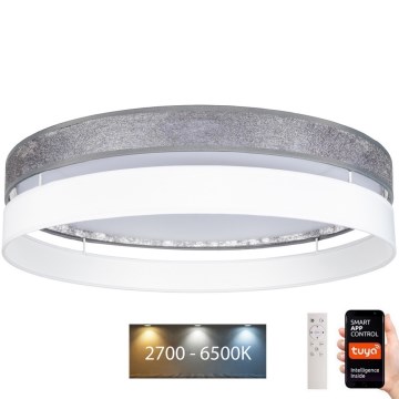 LED Himmennettävä kattovalaisin LIMA LED/36W/230V 2700-6500K Wi-Fi Tuya + kaukosäädin hopea/valkoinen