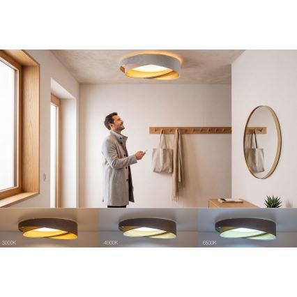 LED-himmennettävä kattovalaisin SMART GALAXY MODERN LED/24W/230V 3000-6500K halkaisija 55 cm harmaa/beige/kulta + kaukosäädin