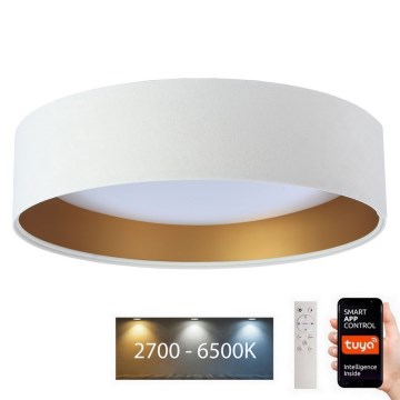 LED Himmennettävä kattovalaisin SMART GALAXY LED/36W/230V d. 55 cm 2700-6500K Wi-Fi Tuya valkoinen/kulta + kaukosäädin