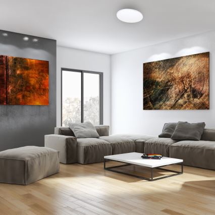 LED himmennettävä Kattovalo kaukosäätimellä SIENA LED/25W/230V