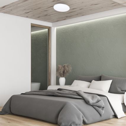 LED himmennettävä Kattovalo kaukosäätimellä SIENA LED/25W/230V