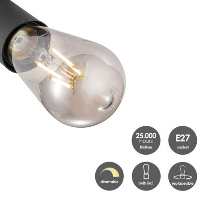 LED Himmennettävä kohdevalo MELLO 2xE27/4W/230V