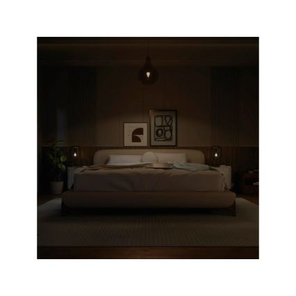LED himmennettävä lamppu Philips Hue White B39 E14/3,9W/230V 2700K