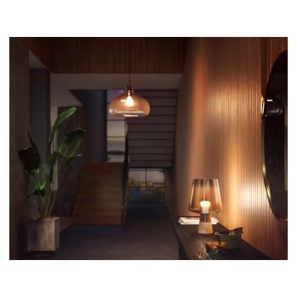 LED-himmennettävä lamppu Philips Hue WHITE E27/9,5W/230V 2700K