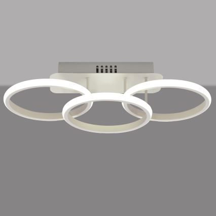 LED Himmennettävä pinta-asennettava kattokruunu BARI LED / 30W / 230V valkoinen