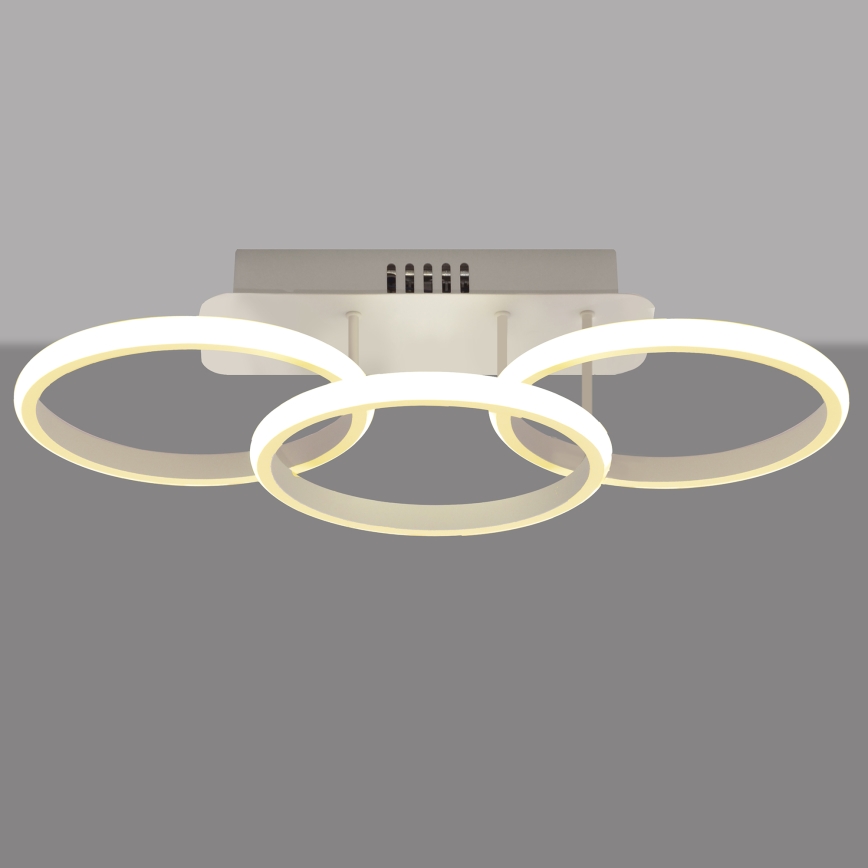 LED Himmennettävä pinta-asennettava kattokruunu BARI LED / 30W / 230V valkoinen