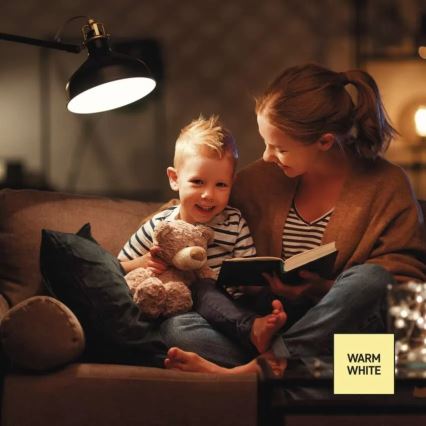 LED-himmennettävä polttimo A60 E27/10,5W/230V 2700K