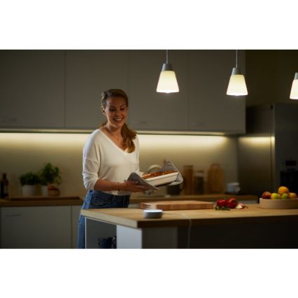 LED Himmennettävä polttimo A60 E27/8W/230V 2700K CRI 90 Wi-Fi - WiZ