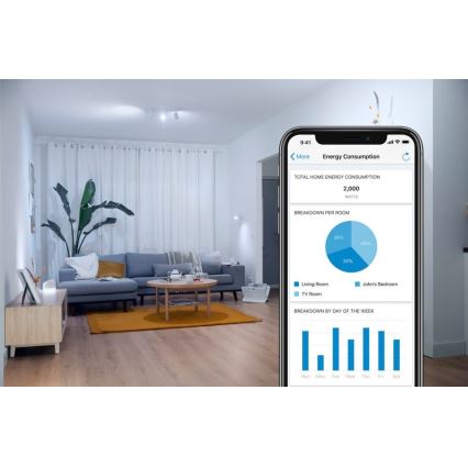LED-himmennettävä polttimo FILAMENT G95 E27/6,7W/230V 2700-6500K CRI 90 Wi-Fi - WiZ
