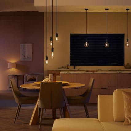 LED Himmennettävä polttimo Philips Hue WHITE AMBIANCE ST72 E27/7W/230V 2200-4500K