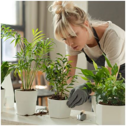 LED-himmennettävä pöytälamppu kasvien kasvatukseen VERDI LED/5W/5V 1300K CRI 95 valkoinen