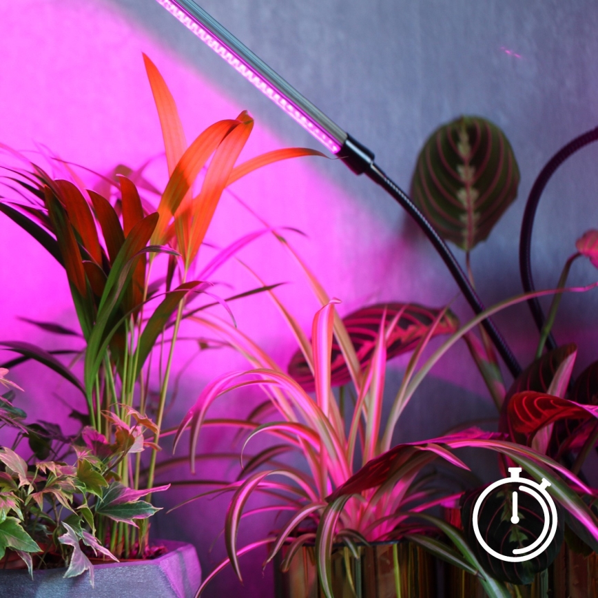 LED-himmennettävä joustava pöytävalaisin kasvien kasvatukseen VITARO 4xLED/10W/230V musta