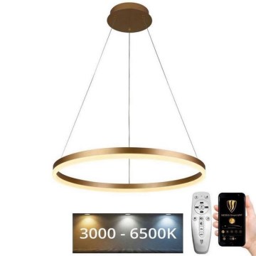 LED himmennettävä riippuvalaisin johdolla LED/42W/230V 3000-6500K halkaisija 60 cm + kaukosäädin
