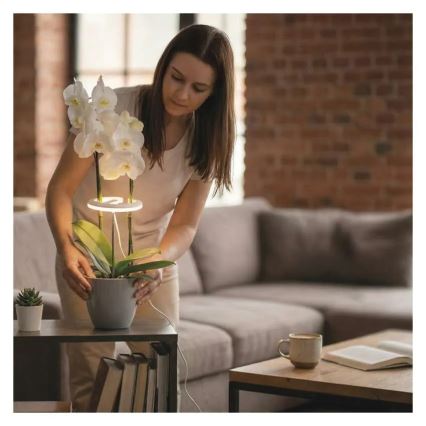 LED-himmennettävä sisäkasvilamppu GROW LED/8W/5V