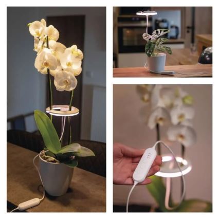 LED-himmennettävä sisäkasvilamppu GROW LED/8W/5V