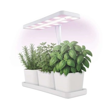 LED-himmennettävä sisäkasvilamppu kasvien kasvatukseen GROW LED/7W/5V