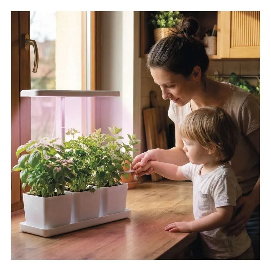 LED-himmennettävä sisäkasvilamppu kasvien kasvatukseen GROW LED/7W/5V