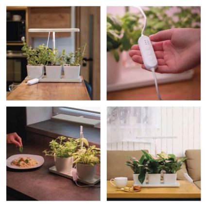 LED-himmennettävä sisäkasvilamppu kasvien kasvatukseen GROW LED/7W/5V