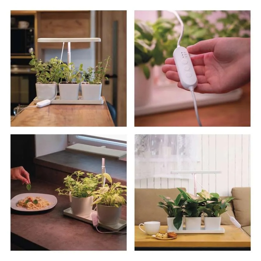 LED-himmennettävä sisäkasvilamppu kasvien kasvatukseen GROW LED/7W/5V