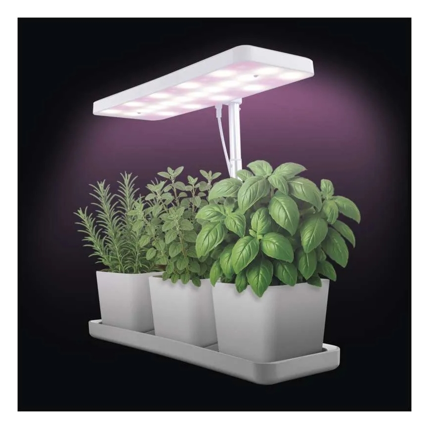 LED-himmennettävä sisäkasvilamppu kasvien kasvatukseen GROW LED/7W/5V