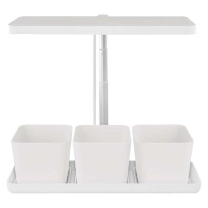 LED-himmennettävä sisäkasvilamppu kasvien kasvatukseen GROW LED/7W/5V