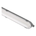 LED himmennettävä tekninen valaisin MISTY LED/29/37/45/51W/230V 4000K IP66