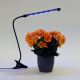 LED-himmennyslamppu pidikkeellä kasvien valaisemiseen LED/3W/230V musta