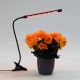 LED-himmennyslamppu pidikkeellä kasvien valaisemiseen LED/3W/230V musta