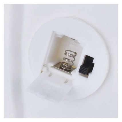 LED joulukoriste LED/CR2032 talo