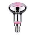 LED Kasvipolttimo GROW VIHREÄ R50 E14/4W/230V - Paulmann 28734