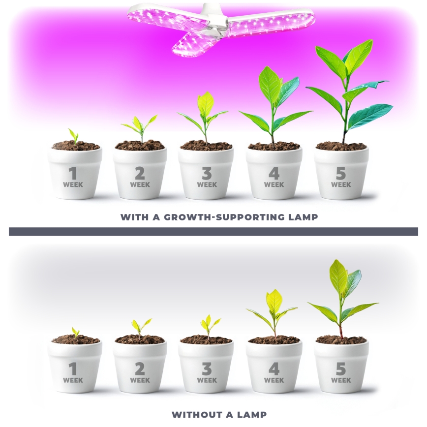 LED Kasvipolttimo PLANTY E27/24W/230V 1200K