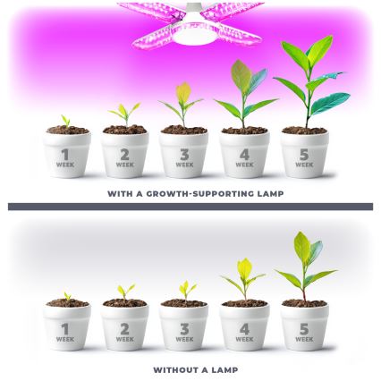 LED Kasvipolttimo PLANTY E27/40W/230V 1200K