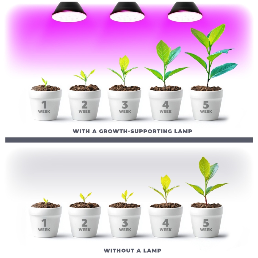 LED Kasvipolttimo PLANTY E27/9W/230V 1200K musta