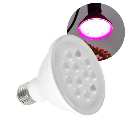LED Kasvipolttimo PLANTY E27/9W/230V 1200K valkoinen