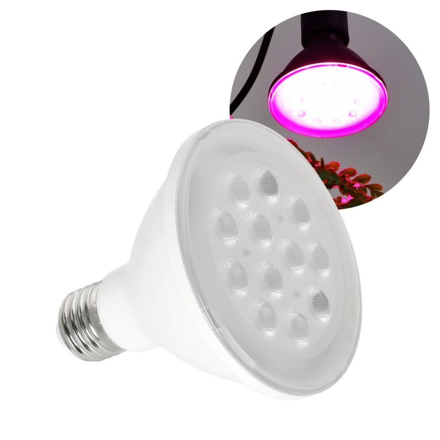 LED Kasvipolttimo PLANTY E27/9W/230V 1200K valkoinen