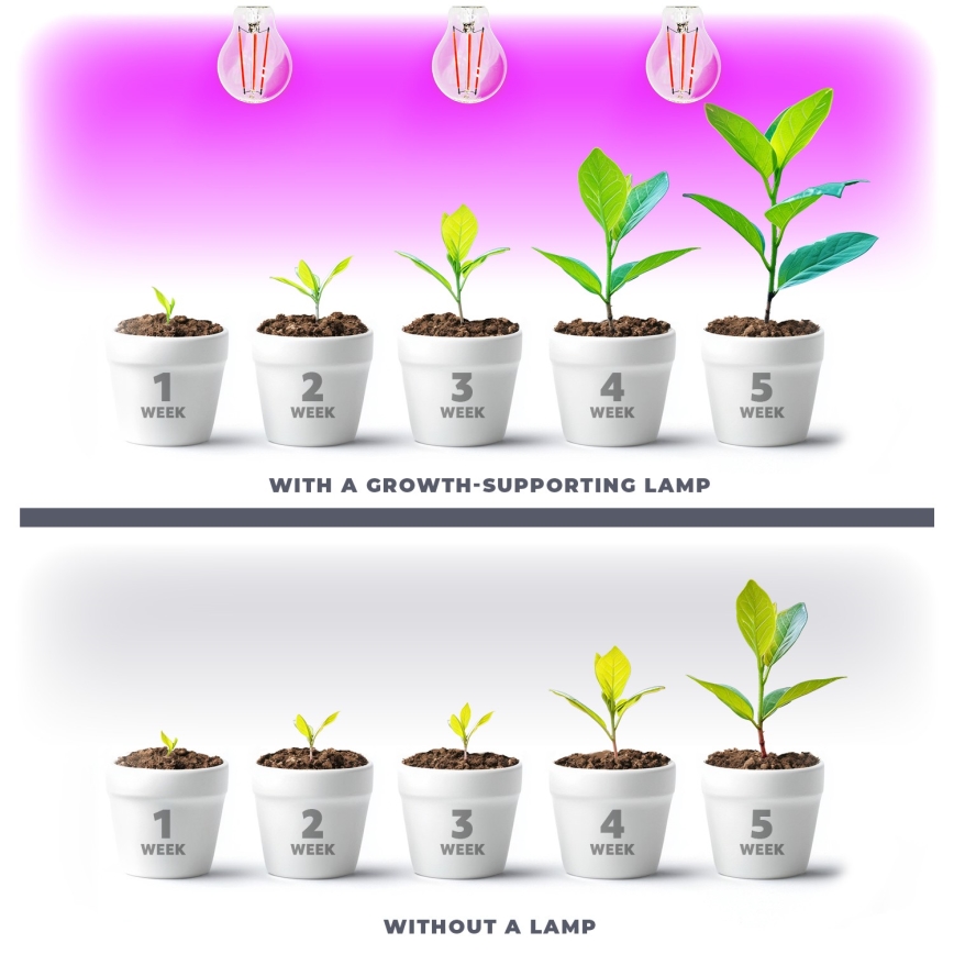 LED Kasvipolttimo VITABLOOM E27/8W/230V 1200K - Brilagi