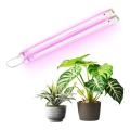 LED Kasvivalaisin GROWLY 2xLED/8,5W/230V valkoinen