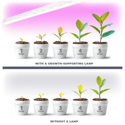LED Kasvivalaisin GROWLY 2xLED/8,5W/230V valkoinen