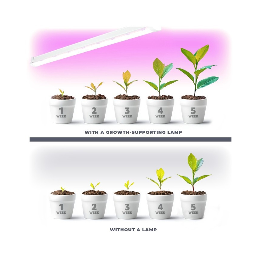 LED Kasvivalaisin GROWLY 2xLED/8,5W/230V valkoinen