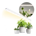 LED Kasvivalo GROWLY LED/15W/230W alapuolella